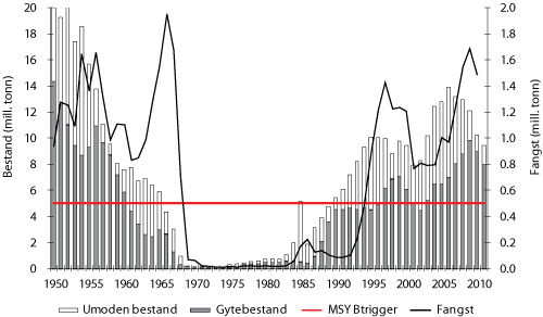 Figur 4.9 Utviklinga av bestand og fangst av NVG-sild 1950 – 2011 