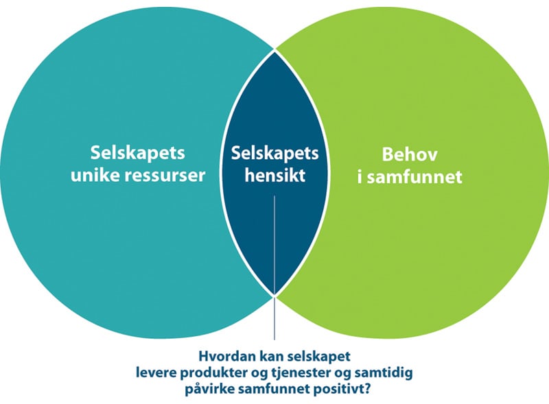 Figur 10.2 Selskapets hensikt.