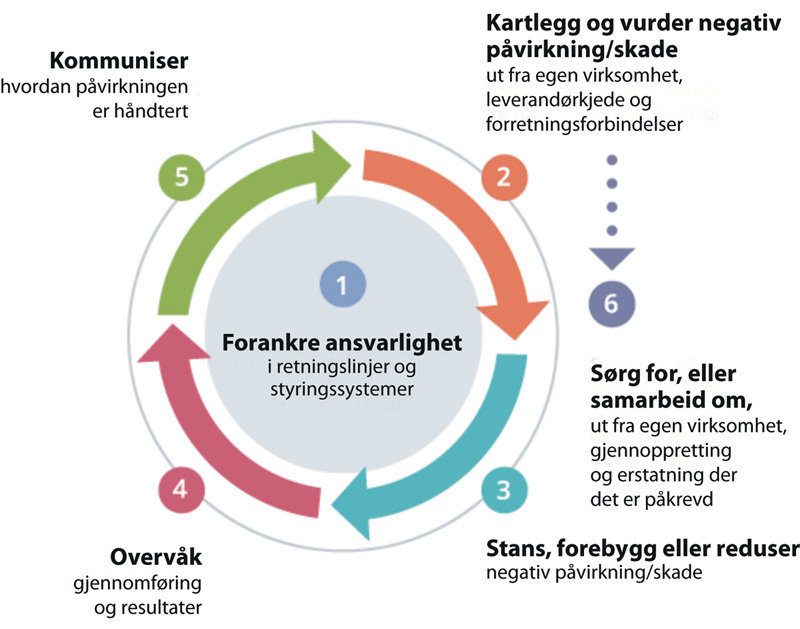 Figur 10.8 Trinnene i en aktsomhetsvurdering.