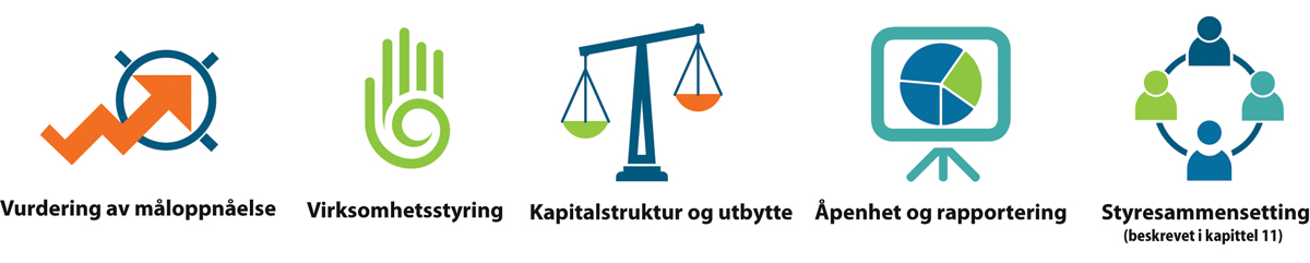 Figur 12.1 Temaer staten vektlegger i selskapsoppfølgingen.