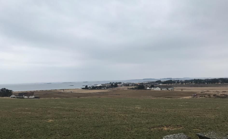 Gresskledd landskap ned mot sjøen på Jæren.