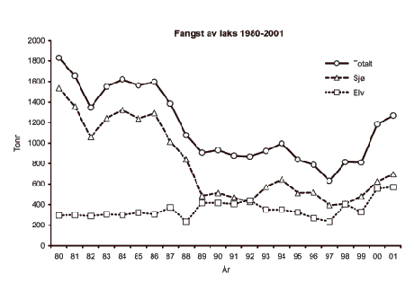 Figur 2.1 Rapportert fangst av laks (tonn) i sjø og elv i Norge i årene 1980 til 2001. Rømt oppdrettslaks er inkludert i fangsttallene.