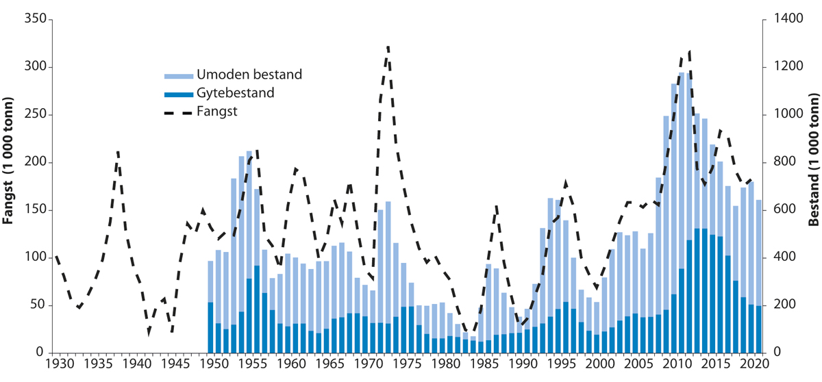 Figur 4.10 Utviklinga i bestand og fangst av nordaustarktisk hyse