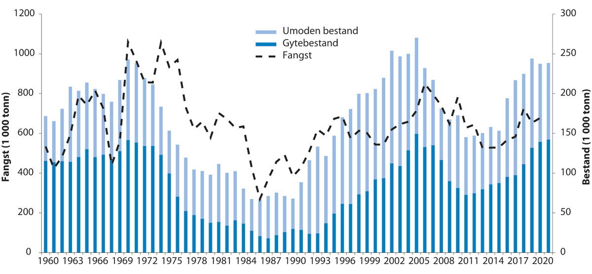 Figur 4.13 Utviklinga i bestand og fangst av nordaustarktisk sei