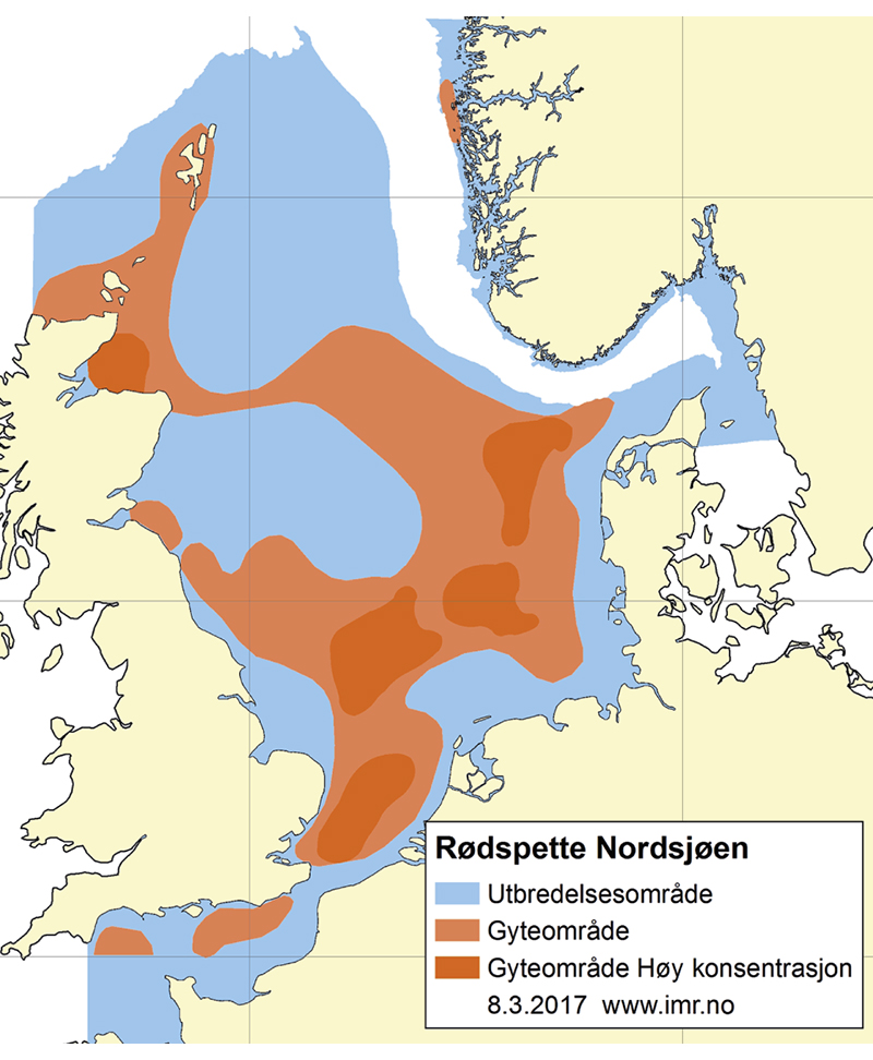Figur 4.53 Utbreiingsområde og gyteområde for raudspette i Nordsjøen og Skagerrak