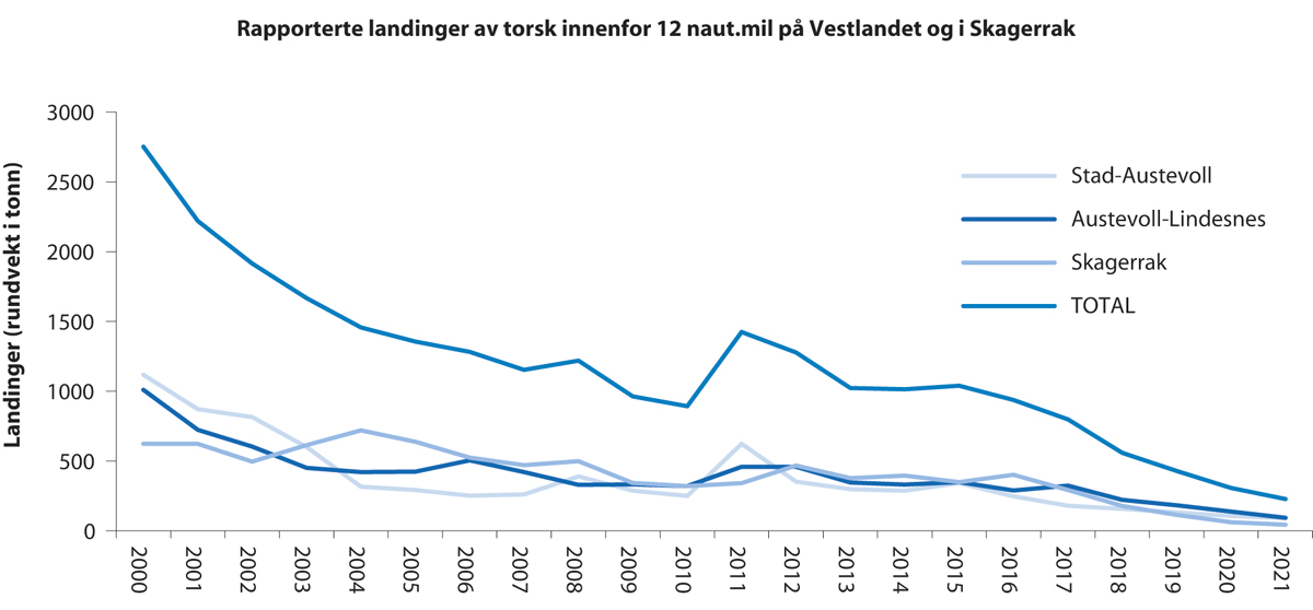 Figur 4.55 Rapporterte landingar av torsk innanfor 12 nautiske mil på Vestlandet og i Skagerrak