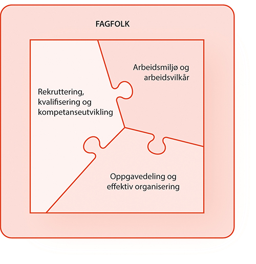 Figur 5.1 Fagfolk og innsatsområder
