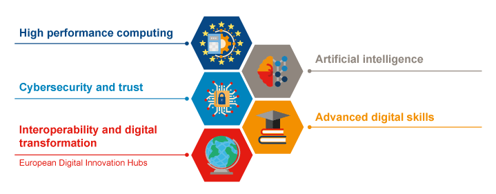 Figure 4.8 The five key capacity areas in DIGITAL
