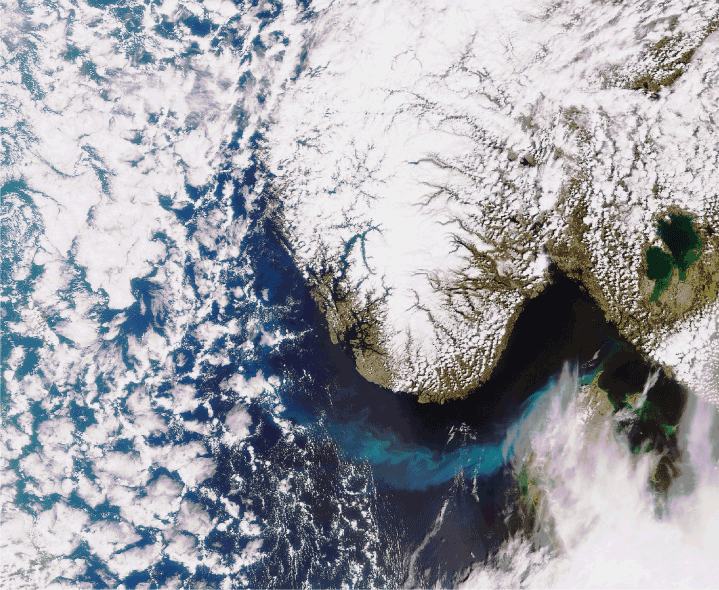 Figure 5.2 Plankton approaching Scandinavia