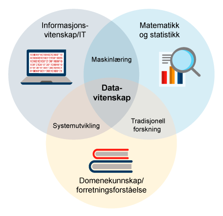 Figur 6.1 Forholdet mellom datavitenskap og andre fagområder
