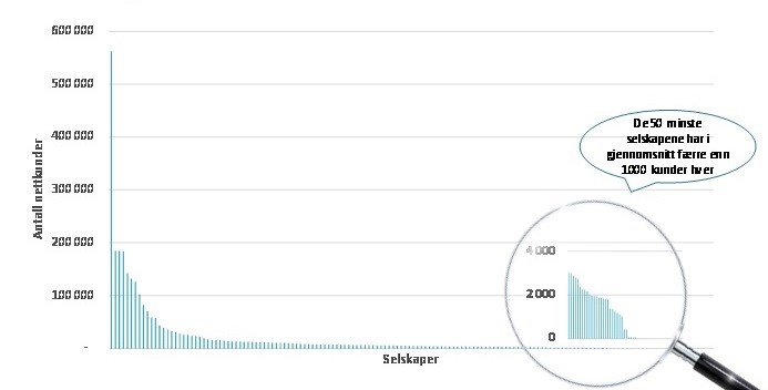 Diagram som viser nettselskaper fordelt på antall kunder