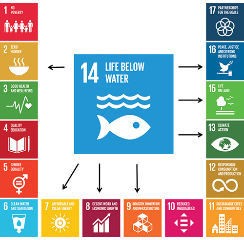 Figure 2.1 Implementation of SDG 14 will also play a part in achieving other SDGs.