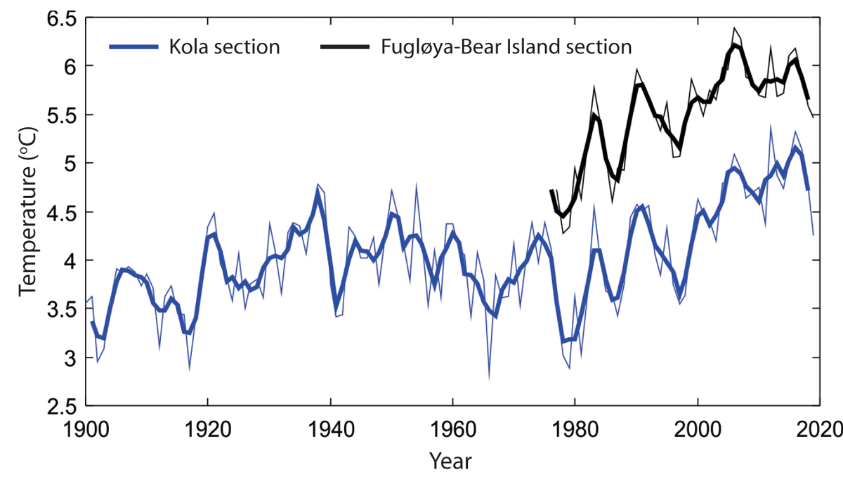 Figure 3.1 Temperature changes in the Barents Sea from 1900 to 2019. Temperature in the centre of the Atlantic inflow, depth 50–200 m for the Fugløya–Bear Island section (black), and depth 0–200 m for the Kola section (blue). Annual values are shown as thin lin...