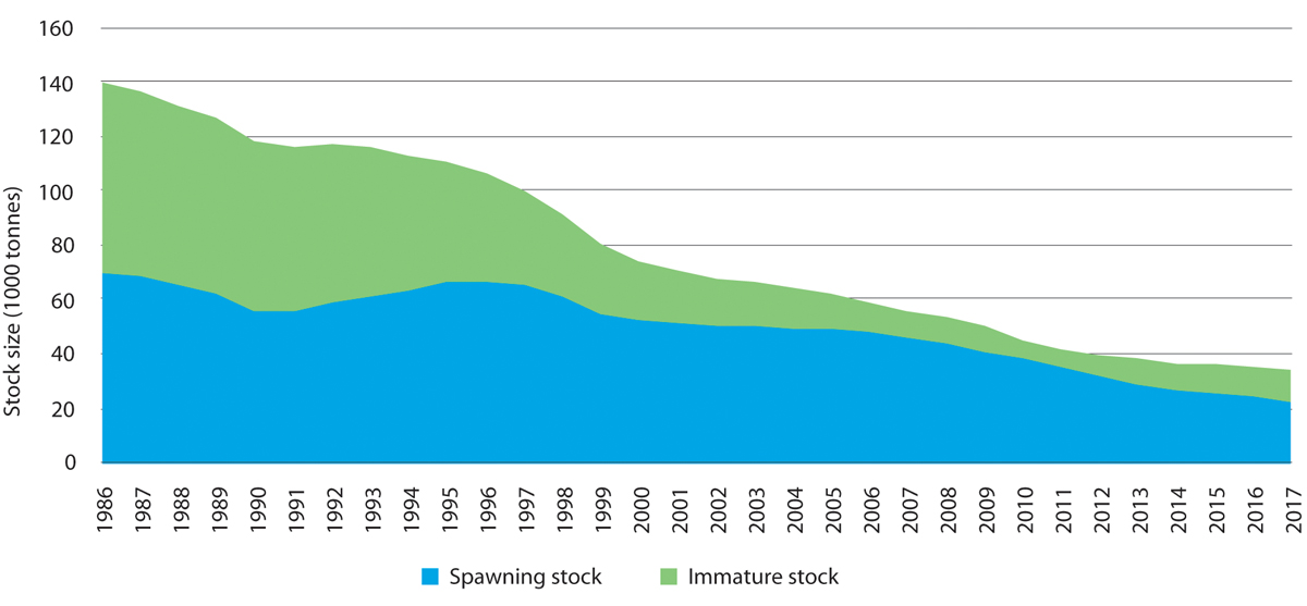 Figure 3.16 Time series showing estimated biomass of the immature stock and spawning stock of golden redfish in the Barents Sea and Norwegian Sea. The sum of the two gives the total stock size.