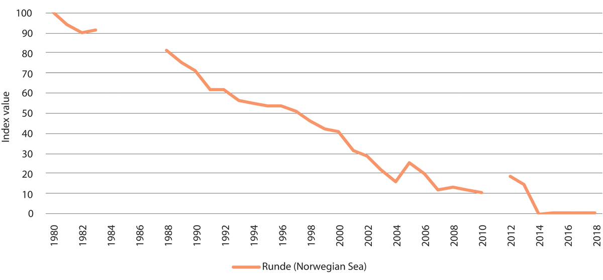 Figure 3.18 Population trend for kittiwakes on Runde island in the Norwegian Sea. Population expressed as index values. Breaks in the graph represent years where no data is available.