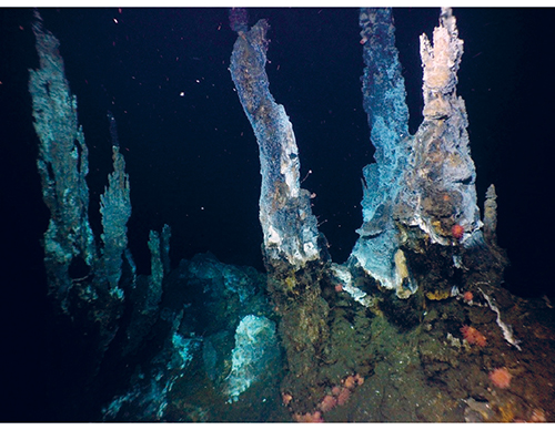 Figure 3.21 These ‘black smokers’ on the Mid-Atlantic Ridge between Jan Mayen and Bjørnøya are hydrothermal vents formed by the deposition of metal-rich sulphide minerals. Such areas support a highly diverse community of organisms closely adapted to the conditio...