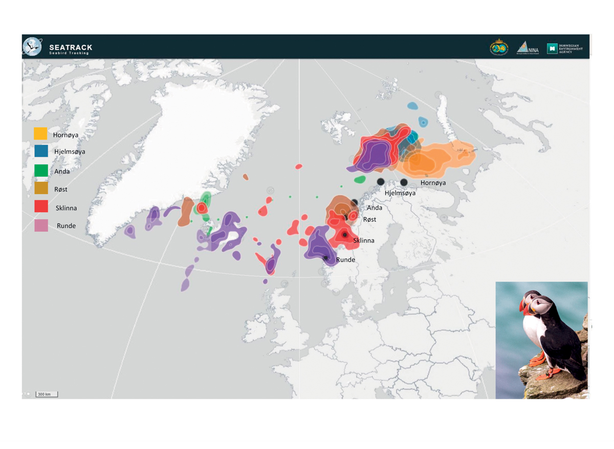 Figure 3.6 Distribution of puffins from six colonies along the mainland coast of Norway in the period August–October 2017, based on tracking data from light-loggers. The Barents Sea is an important moulting and nursery area for several seabird species in autumn.