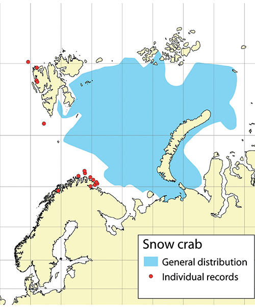 Figure 3.7 Distribution of snow crab in the Barents Sea and individual records outside this area, based on data up to the end of 2019.