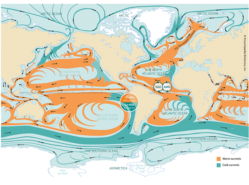 Figure 4.1 Global ocean currents. Norwegian waters form part of a continuous ocean and circulatory system.