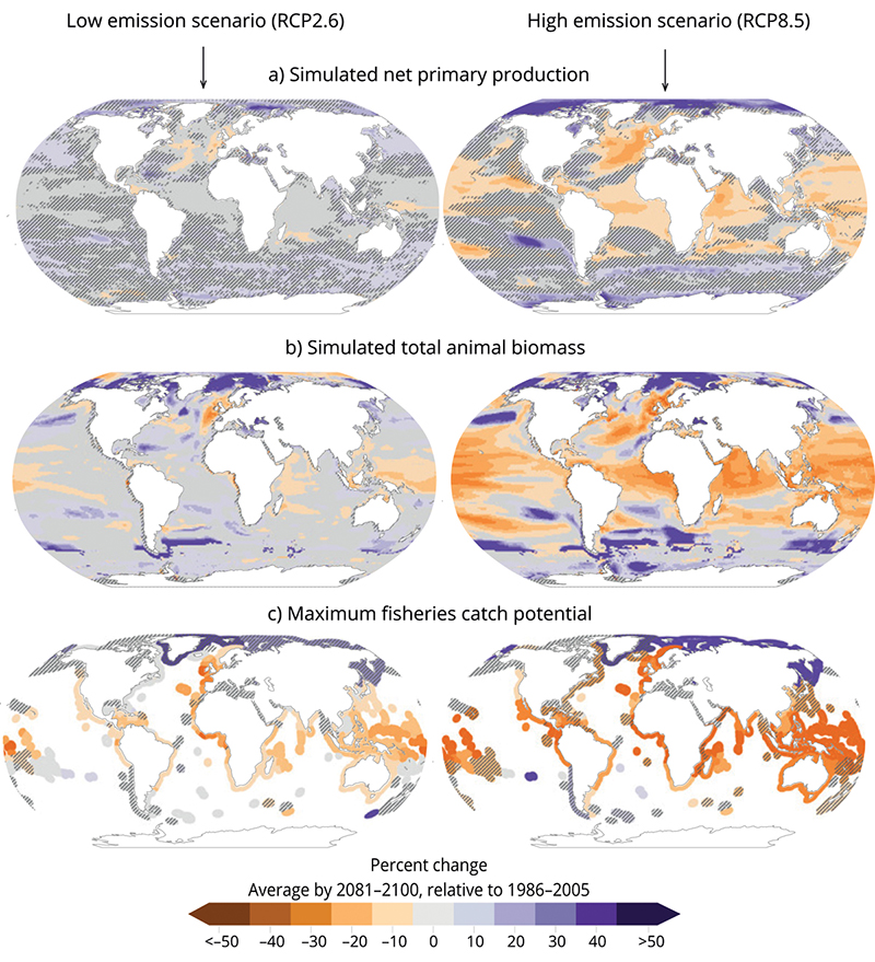 Figure 4.3 Projected changes in the world’s oceans by the end of this century: a) net primary production, b) total animal biomass, and c) maximum fisheries catch potential. Purple indicates a rise and orange a decline. The two sets of diagrams show, left, a low...