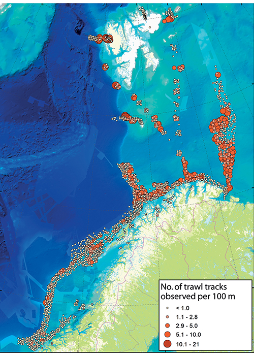 Figure 5.6 Number of trawl tracks observed per 100 metres.