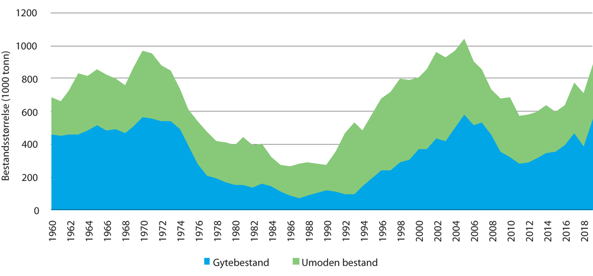 Figur 3.15 Datasettet viser beregnede størrelser av moden og umoden bestand av nordøstarktisk sei i Barentshavet og Norskehavet.