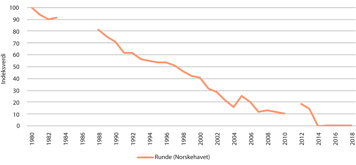 Figur 3.18 Bestandsutvikling for krykkjepå Runde i Norskehavet, angitt som indeksverdi. Brudd i grafene representerer år da det mangler data.