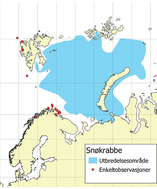 Figur 3.7 Utbredelse av snøkrabbe i Barentshavet samt observasjoner utenfor utbredelsesområdet basert på kunnskap opp til og med 2019.