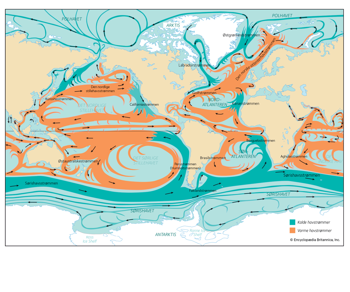 Figur 4.1 Havstrømmer i verdenshavene. Norske havområder er en del av et sammenhengende havsystem og kretsløp.