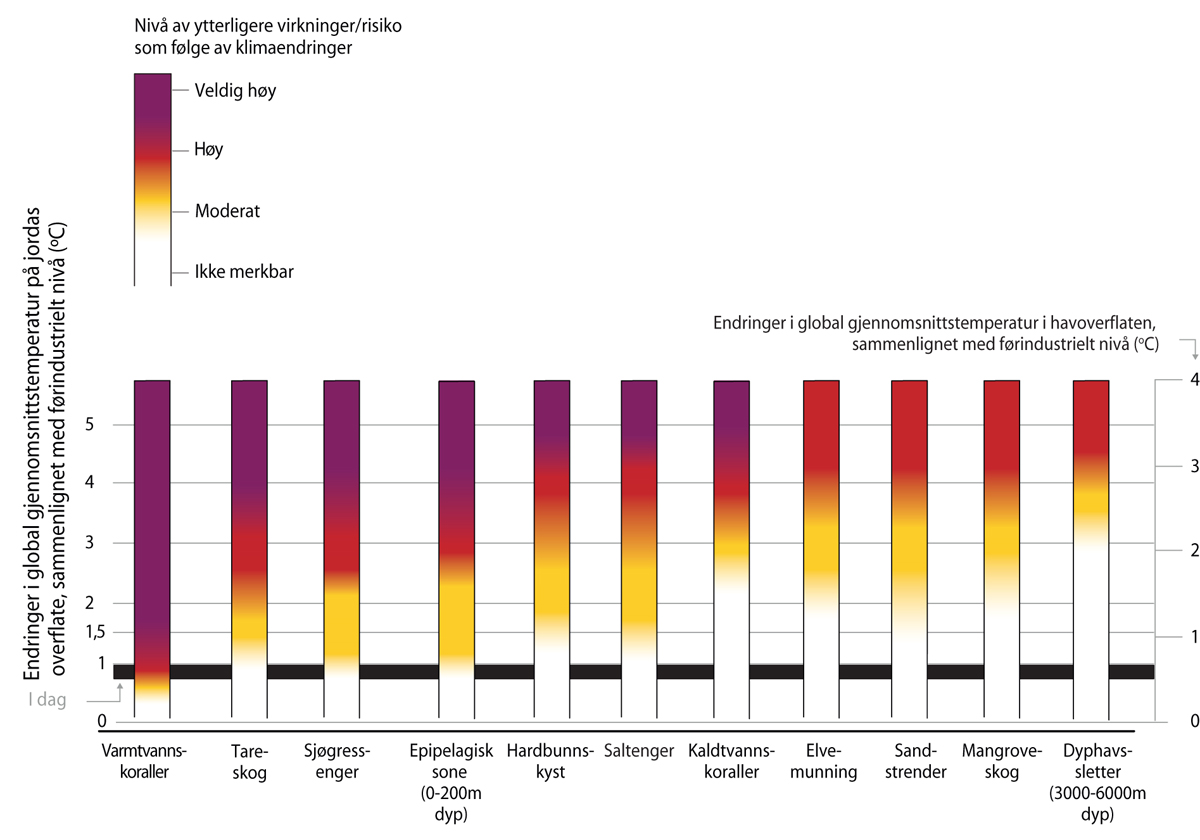 Figur 4.4 Vurdering av virkninger/risiko for ulike marine økosystemer og kystøkosystemer ved økende global temperatur. Økning i global gjennomsnittlig lufttemperatur ved overflaten er vist på venstre akse. Tilsvarende økning i sjøtemperaturen i havoverflaten e...