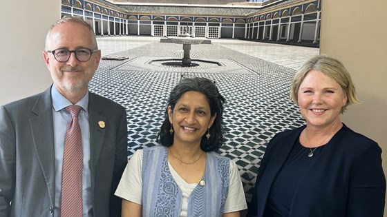 Bilde av Solhjell, Murthi og Tvinneriem stående foran et bilde av en fontene