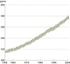 Figur 3.7 Gjennomsnittlig månedlig CO2-konsentrasjon
1959-2004, målt på Mauna Loa, Hawaii.