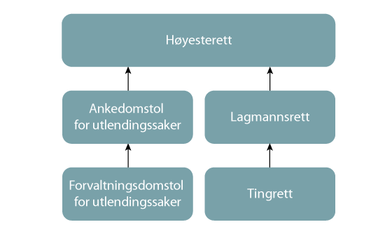 Figur 32.1 Egen ankedomstol
