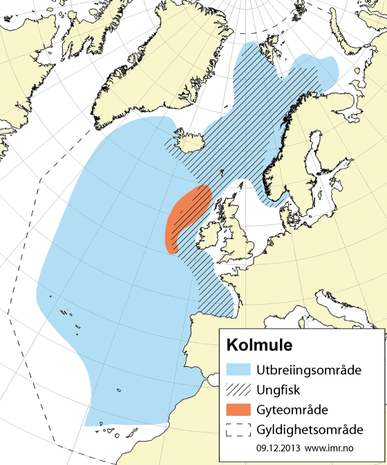 Figur 4.32 Utbreiingsområde og gyteområde for nordaust-atlantisk kolmule