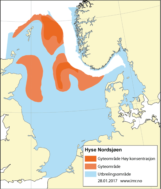 Figur 4.47 Utbreiingsområde og gyteområde for hyse i Nordsjøen, Skagerrak og vest for Skottland
