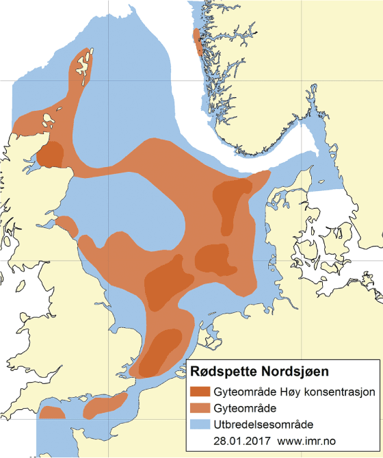 Figur 4.53 Utbreiingsområde og gyteområde for raudspette i Nordsjøen og Skagerrak