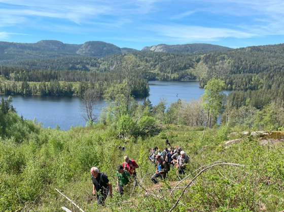 Samling om kantsoner