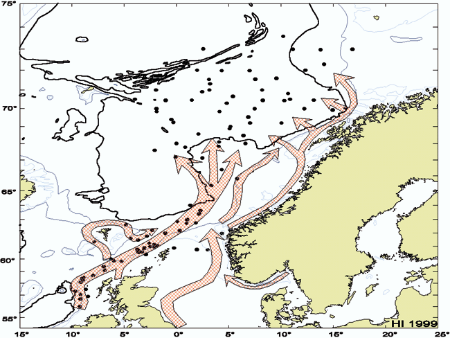 Figur 3.1 Laksens utbredelse i havet. Svarte punkt: Fangsposisjoner for
postsmolt laks tatt av Havforskningsinstituttets fartøyer
i perioden 1991–1998 (1 til 145 fisk per punkt). Røde
piler: Antatte vandringsruter til europeisk postsmolt laks basert
p...