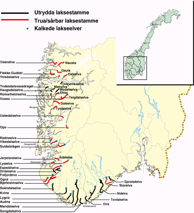 Figur 5.2 Forsurede laksevassdrag i Norge, kalkede og ukalkede per 1998.