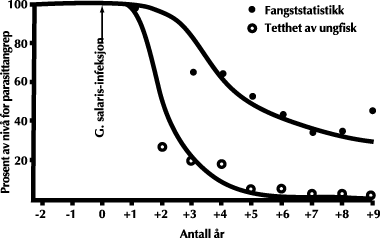 Figur 5.3 Modell som beskriver fangstutvikling og ungfisktetthet i en
laksebestand ved smitte av parasitten.