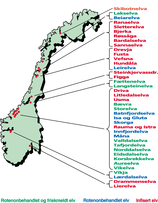 Figur 5.4
Beliggenhet og status for elver
infisert med Gyrodactylus salaris.