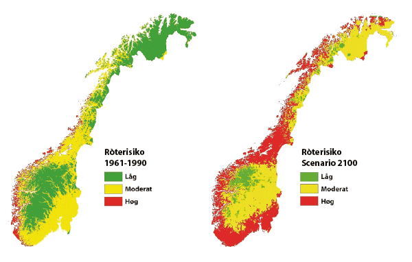 Figur 4.2 Potensiell ròterisiko i Noreg frå 1961 til 1990 og i år 2100 (basert på Scheffer, 1971 og Lisø ofl. 2006)1