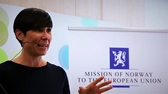 Ine Eriksen Søreide
