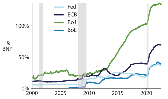 Figur 9.15 Sentralbankens balanse som andel av eget lands BNP