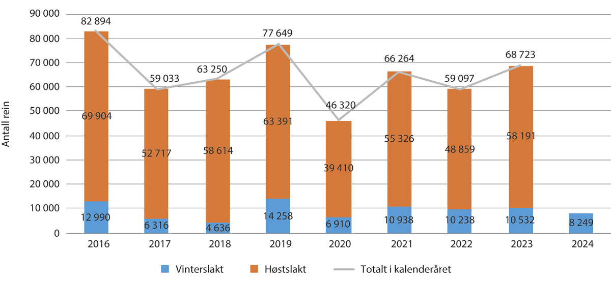 Figur 5.1 Antall slakt til slakteri per kalenderår 2016-20241