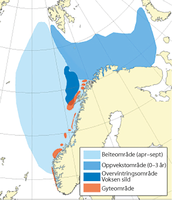 Figur 4.26 Utbreiingsområde og gyteområde for norsk vårgytande sild