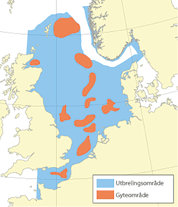 Figur 4.44 Utbreiingsområde og gyteområde for torsk i Nordsjøen, Skagerrak og den austlege engelske kanalen
