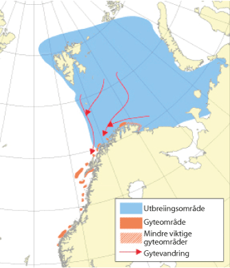 Figur 4.6 Utbreiingsområde og gyteområde for nordaust-arktisk torsk