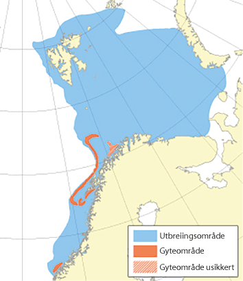 Figur 4.9 Utbreiingsområde og gyteområde for nordaust-arktisk hyse