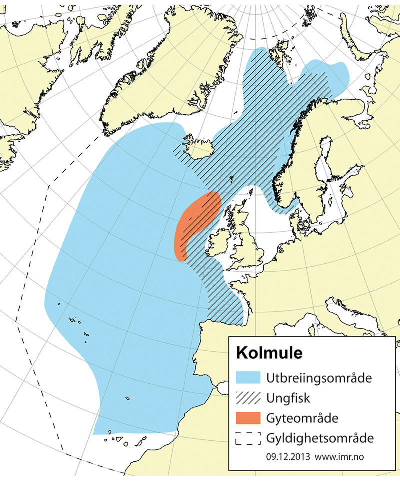 Figur 4.32 Utbreiingsområde og gyteområde for nordaustatlantisk kolmule